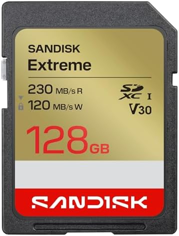 SanDisk Extreme 64GB SDXC UHS-I U3 V30 Memory Card – Up to 170MB/s, 4K UHD, SD Card for DSLR & Action Cameras (SDSDXV2-064G-GNCIN)