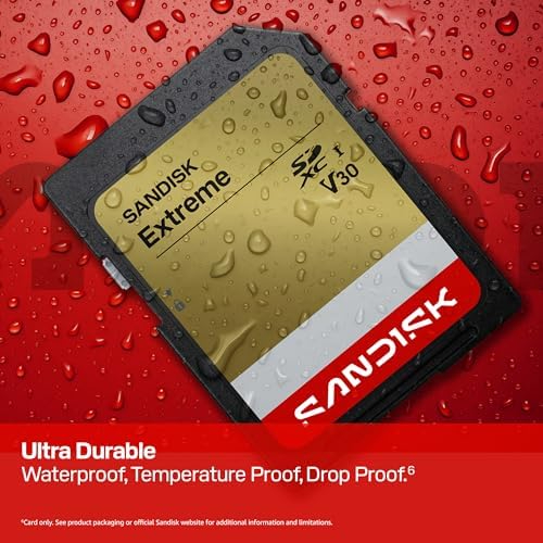 SanDisk Extreme 64GB SDXC UHS-I U3 V30 Memory Card – Up to 170MB/s, 4K UHD, SD Card for DSLR & Action Cameras (SDSDXV2-064G-GNCIN)