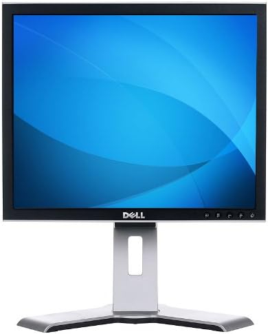 Dell 19-Inch Square Flat Panel Monitor